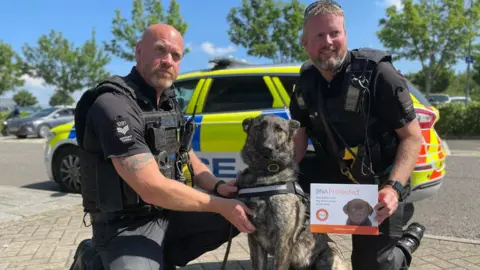 BBC Gloucestershire Police dog and police