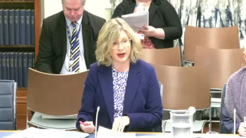 Northern Ireland Assembly Aoife Hamilton