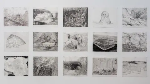 Joe Brown Gam Bodenhausen's drawings