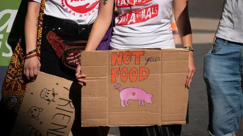 Getty Images Protesters with placards in favour of veganism and against animal cruelty during the demonstration in Spain