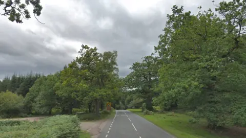Google Road through the Forest of Dean