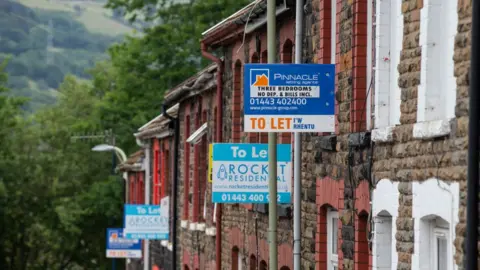 Getty Images To let signs outside student terraced housing in Pontypridd