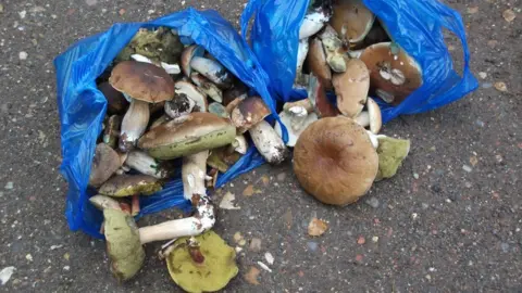 City of London Corporation Foraged mushrooms in bags