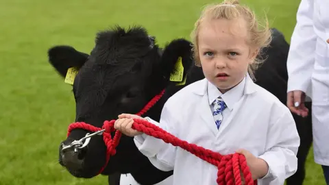 Pacemaker A young girl leads a small bull to a display ring at the Balmoral Show
