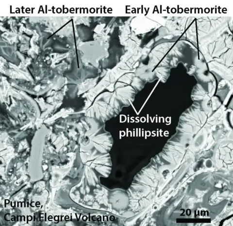 University of Utah microscope stone