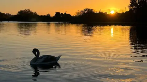 FRIDAY - Poole Park