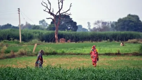 AFP Indian residents arrive to defecate in an open field in a village in the Badaun district of Uttar Pradesh.