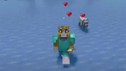 Popular Minecraft r 'Technoblade' Dies of Cancer at 23