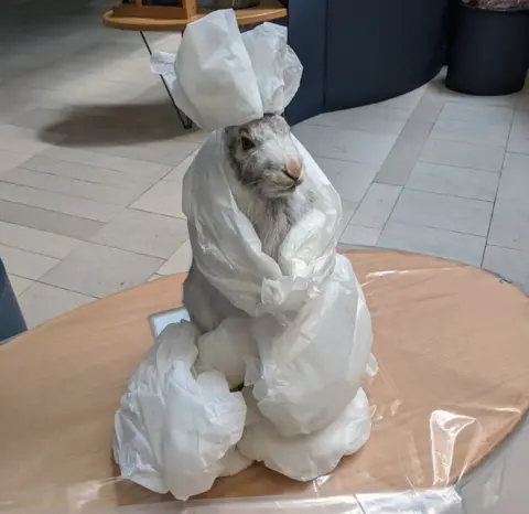 National Museums Scotland A hare wrapped up and put in the freezer