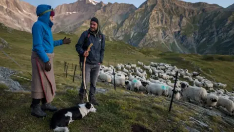 Getty Images Farmers with their sheep in Switzerland