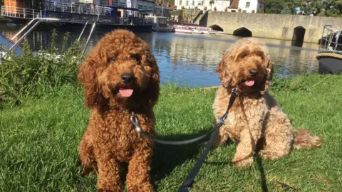 Glynis Worrallo Ava and Ruby