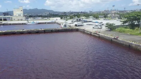 Japan: Okinawa port turns blood red after beer factory leak