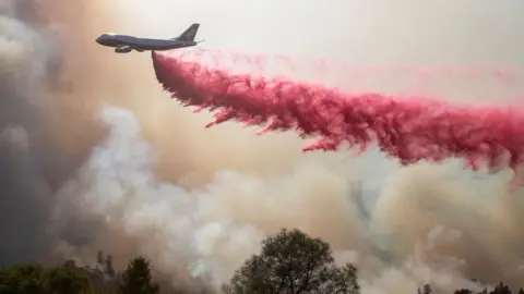 Wales News Service wildfires