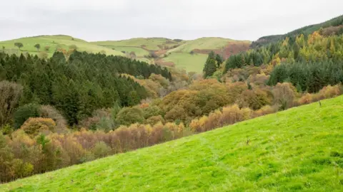 Ben Porter/Summit to Sea Llyfnant Valley