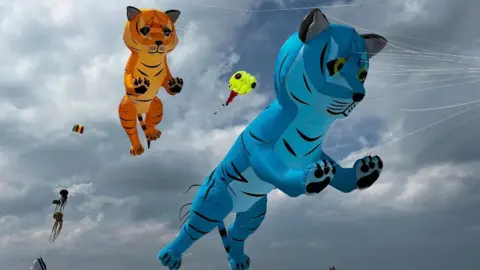 Kitecrew Ireland Kites