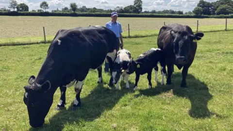 Emyr Wigley Emyr and his cows