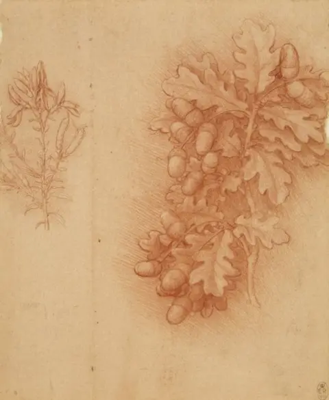 Royal Collection Trust Charles II: Art & Power