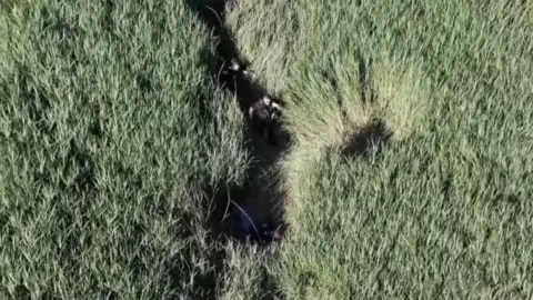 North Wales Police Area of grass Roy Giblin was found in