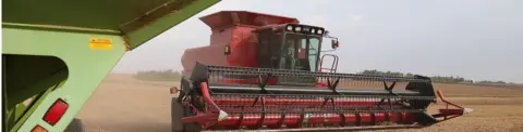 Getty Images soybeans in the US being farmed