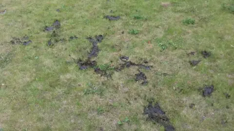 Rob Morris A photo showing cow excrement on a lawn