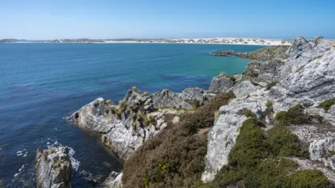 Getty Images View of rock formations at Gypsy Cove near Port Stanley, Falkland Islands