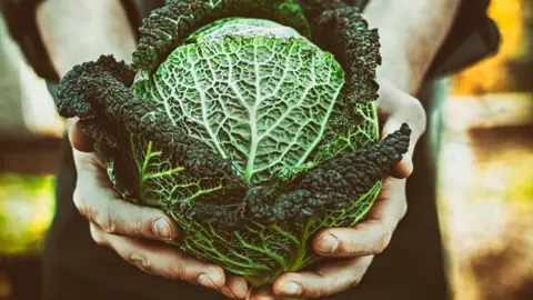 Getty Images Cabbage