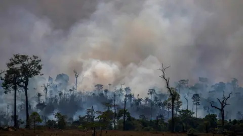 AFP Smokes rises from forest fires in Altamira, Para state, Brazil, on August 27, 2019