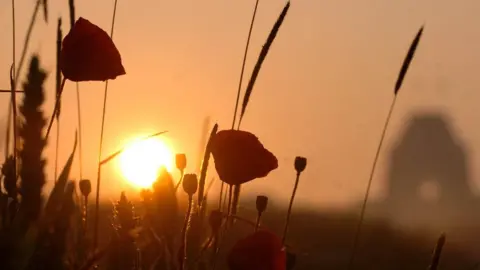 PA Poppies at the Somme