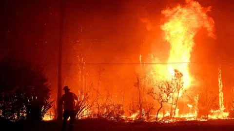 EPA Sydney bushfires - firefighter standing in front of huge flames in Sydney