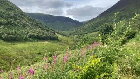 Borders Forest Trust Carrifran Valley