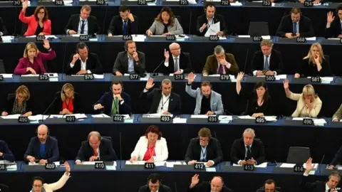 AFP MEPs in the European Parliament