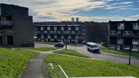 Olivia Richwald/BBC Gleadless Valley estate