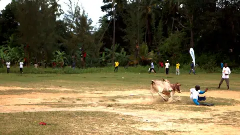 Catherine Tilke Bullfighting