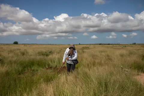 ALEJANDRO CEGARRA A searcher smells a shovel