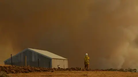 Getty Images A Rural Fire Service firefighter looks at smoke in New South Wales in January 2020.