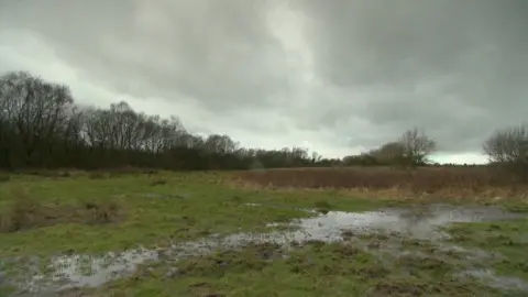 BBC South Macclesfield Development Area