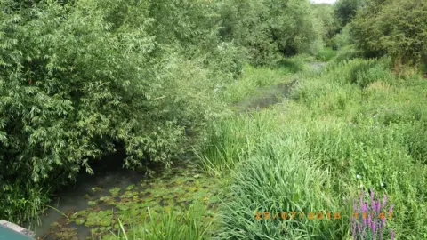 Environment Agency  Pollution in Hinksey Stream