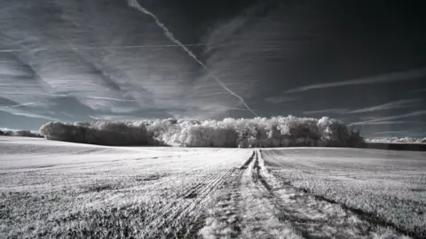 Jonathan Beamish Belleauwood