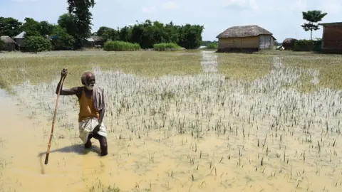 Getty Images A man crosses flood waters in the Saptari District of Nepal.