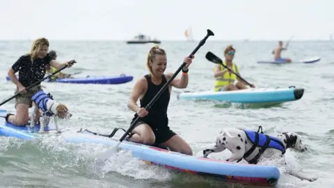 PA Media Dog Masters 2022