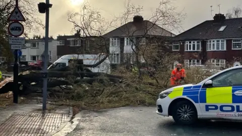 A fallen tree in York at the junction of Leeman Road and Water End