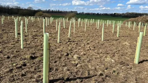 LDRS Trees Planted Crossfield Lane Skellow Doncaster