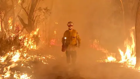 DANIEL KNOX/ANDREW O'DWYER Firefighter Daniel Knox stands amid flaming bushland during a controlled burn in NSW