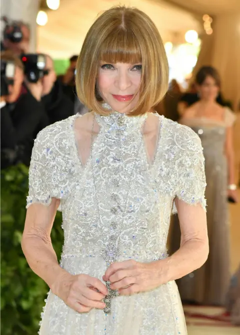 AFP Vogue Editor-in-Chief Anna Wintour