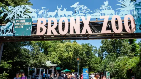 Getty Images De ingang van de Bronx Zoo gefotografeerd in 2016