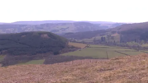 The view from the course