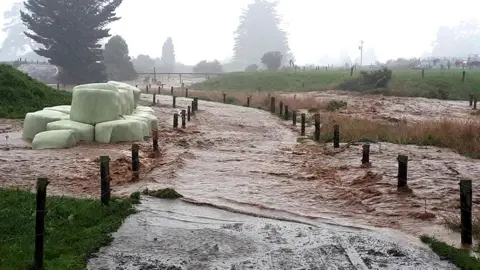 Reuters A flooded farm in Bainham, New Zealand, 20 February 2018