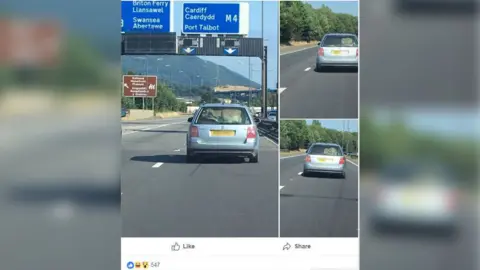 Facebook Pictures appearing to show a cow in the back of a car