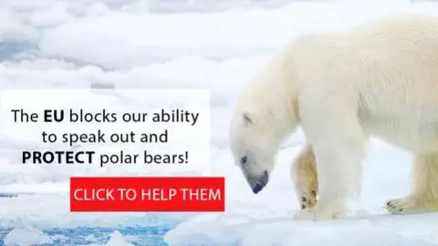 Polar bears