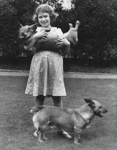 Corgis: How the Queen fell in love and started a phenomenon - BBC News